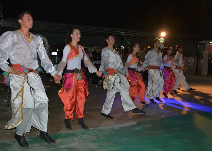 Hotel First Class Didim Tepecik (Aydin)