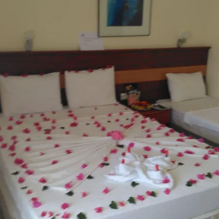 מלון First Class Didim Tepecik (Aydin)