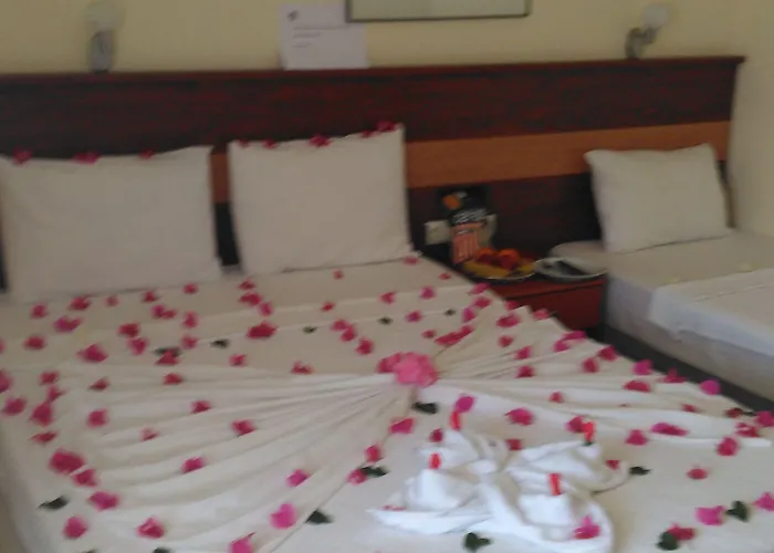 Hotel First Class Didim Tepecik (Aydin)